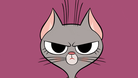 Happy Cat GIF by ZIP ZIP