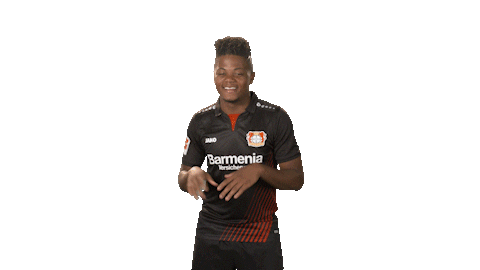 bayer leverkusen football Sticker by Bundesliga