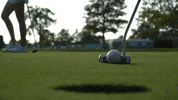 iwusports tgoe iwusports iwutitans iwugolf GIF
