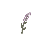 Bretodeau sticker instagram flower stories Sticker