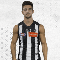 GIF by CollingwoodFC