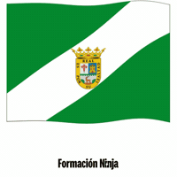 Bandera Sevilla GIF by Formación Ninja