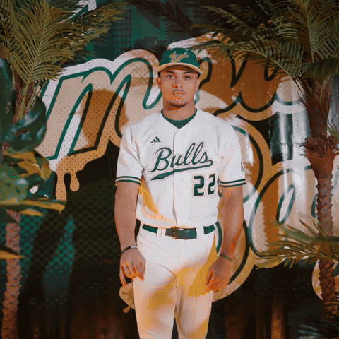 South Florida Baseball GIF by USF Athletics
