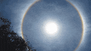 not a rainbow GIF by PBS