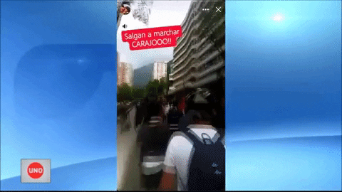 alejandrahurtadoramirez giphygifmaker GIF