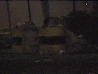 Vintage Vhs GIF by jorgemariozuleta