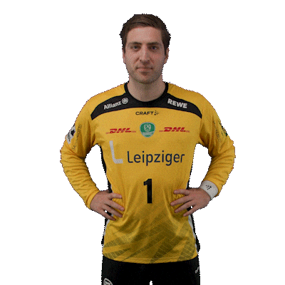 Handball Leipzig Sticker by DAIKIN HBL