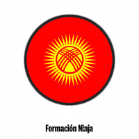 Flag Bandera GIF by Formación Ninja