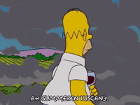 Episode 15 Summer GIF by The Simpsons