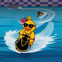 Crypto Racing GIF by Duck Race GP