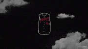 GIF by Mitchell & Ness