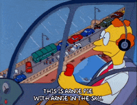 Season 3 Traffic GIF by The Simpsons
