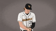 Baseball Calstatela GIF by Cal State LA Golden Eagles