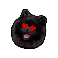Wilmade love happy heart dog Sticker