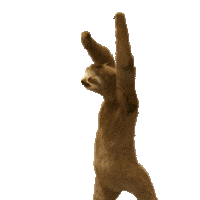 Happy Dance Sticker by Coop Prix - fort gjort!