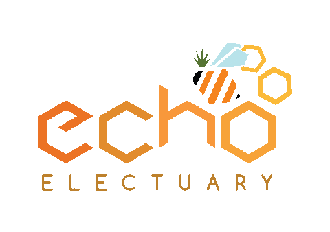 Bee Fly Hive Sticker by EchoElectuary