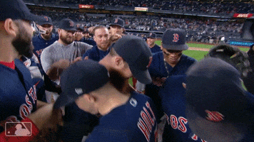 Red Sox Team GIF by MLB