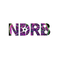 utsaNDRB utsa ndrb utsandrb Sticker