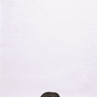 Throw Wig GIF by Cynthia Erivo