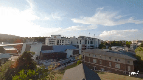 College Football GIF by Arkansas Razorbacks
