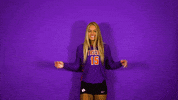 Clemsonvb Championshipbehavior GIF by Clemson Tigers
