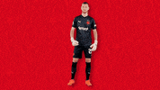 Dance Football GIF by SK Slavia Praha