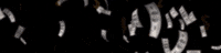juanrubens goldenboy golden money goldenmoney golden money easy money GIF