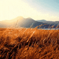 Jesus Christ Saints GIF
