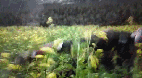 imaLegarda giphygifmaker winter gay marvel GIF
