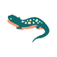 Lizard Appalachian Sticker by The Landmark Project