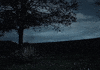 Music Video Running GIF by Mother Mother