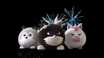 Hangry Petz New Years dance