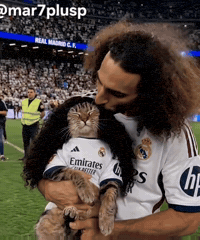3-0 Cat Meme GIF