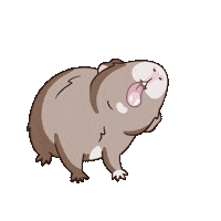 komorumotto guineapig cavy komorumotto Sticker