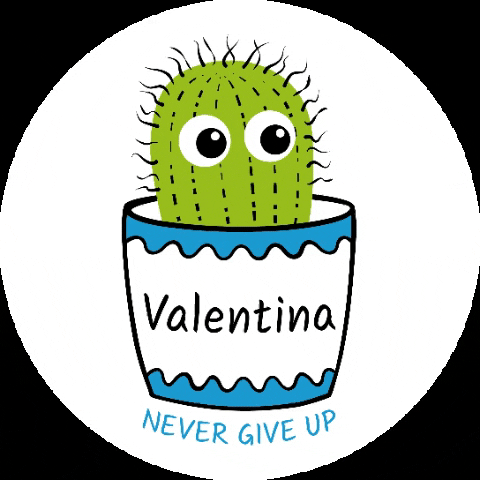 StiftungValentina giphygifmaker cactus kaktus stiftung valentina GIF
