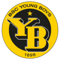 logo bern Sticker by BSC Young Boys