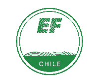 Explore Lets Go Sticker by EF Education First