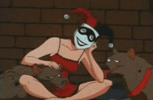cats way GIF