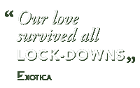 exoticaflowers love valentine gift date Sticker