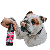 Run The Jewels Beer Sticker by beerforhumans