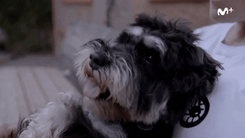 cero scott y mila GIF by Movistar+