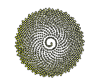 3D Flower Sticker by Quasi Crystals