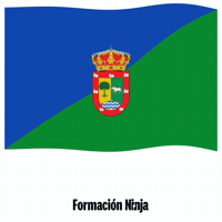 Comunidad De Madrid Bandera GIF by Formación Ninja
