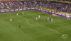 GIF by Sporza