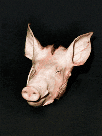 GIF by Liberation.fr