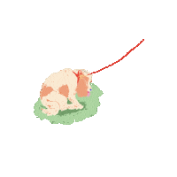 Apple Cider Drink Sticker