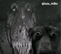 Dog Meme Wtf GIF