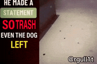 Dog Statement GIF