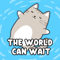 Relaxing Slow Down GIF by MESA My Emotional Support Animal