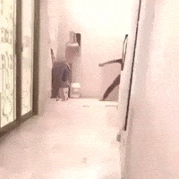 rainbow siege GIF
